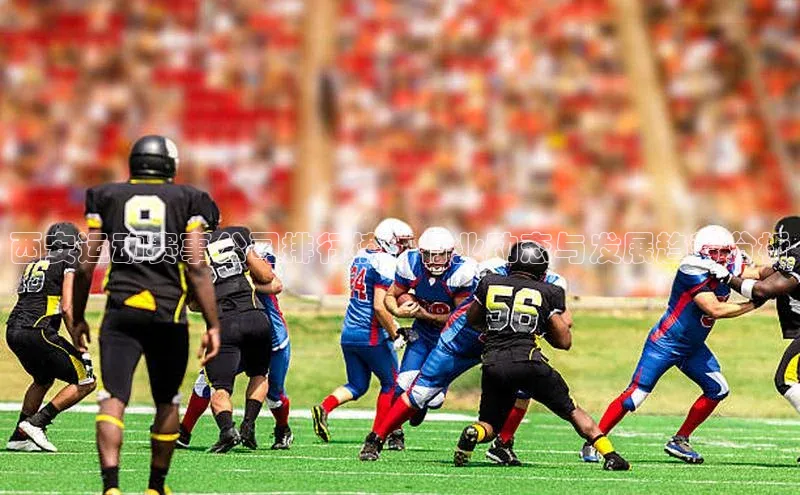 victor胜利体育官网