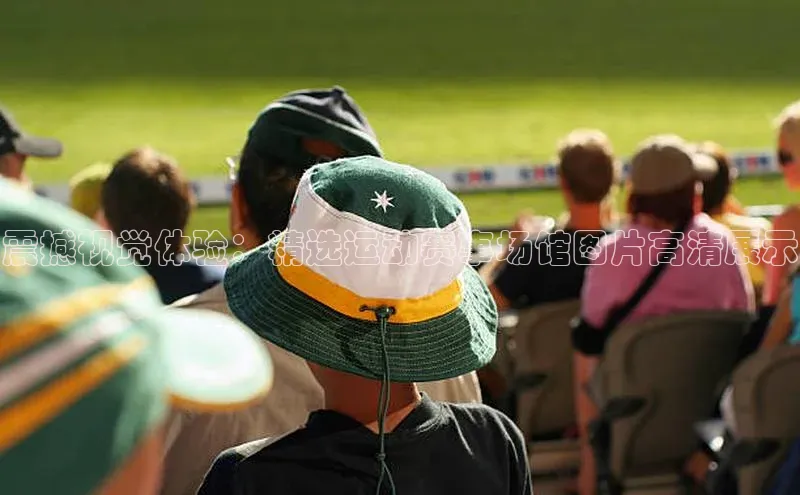 Vsport体育APP下载