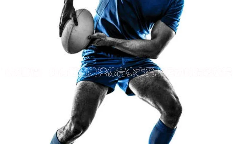 vsport-胜利因官网入口