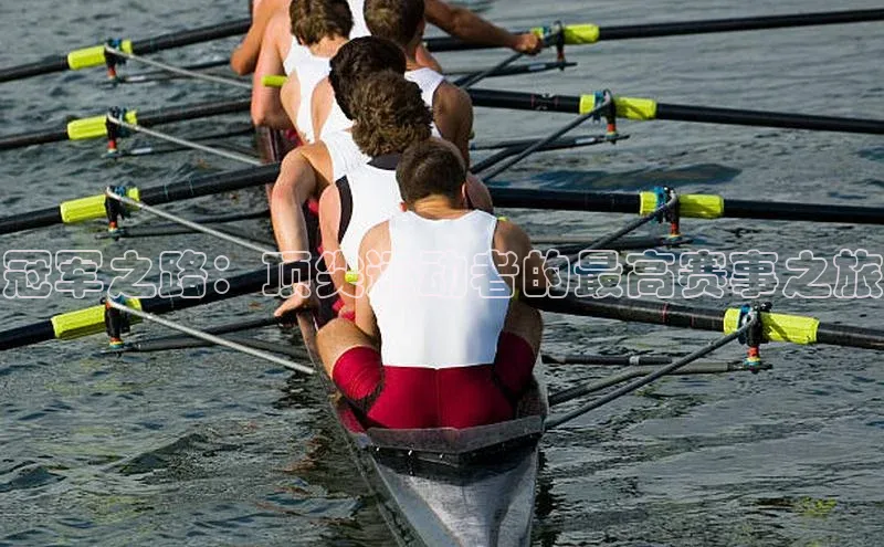 V体育网页版入口