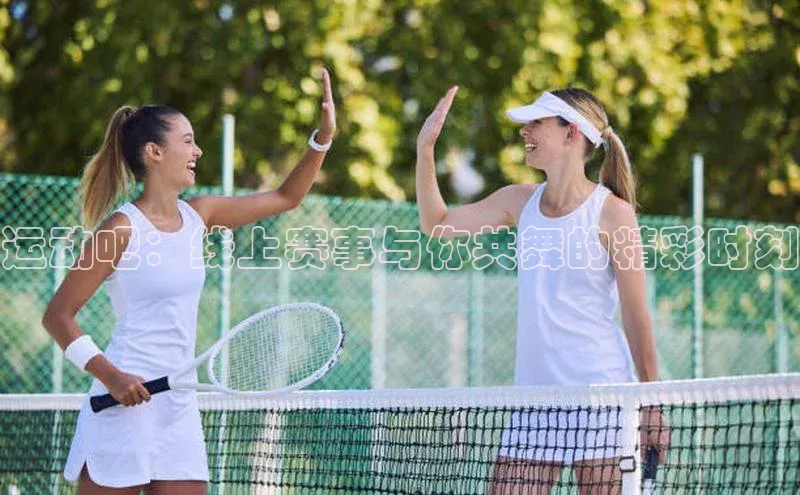 V·体育官方网站