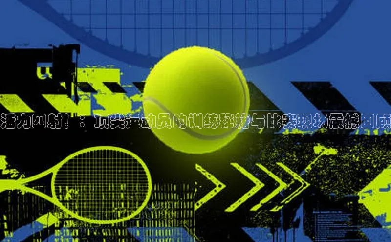 vsport体育在线官网手机版